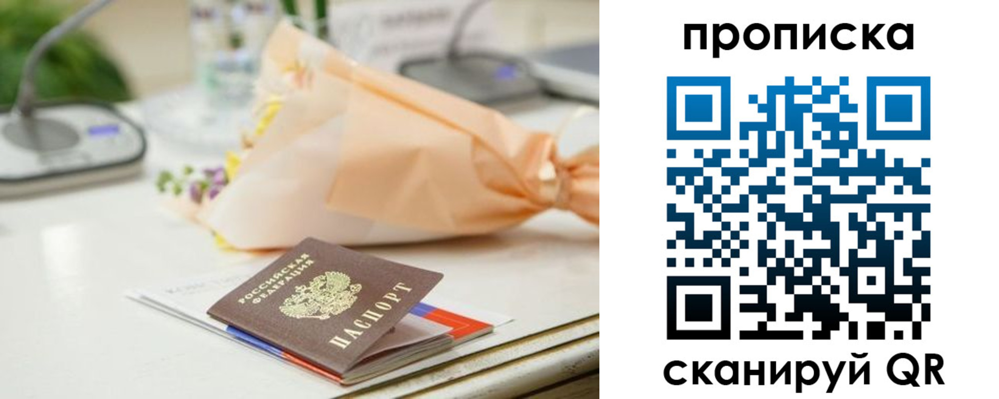прописка гарантия в Звенигово